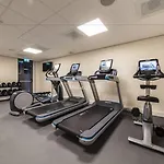 Monet Garden Amsterdam